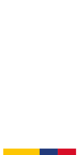 TIC